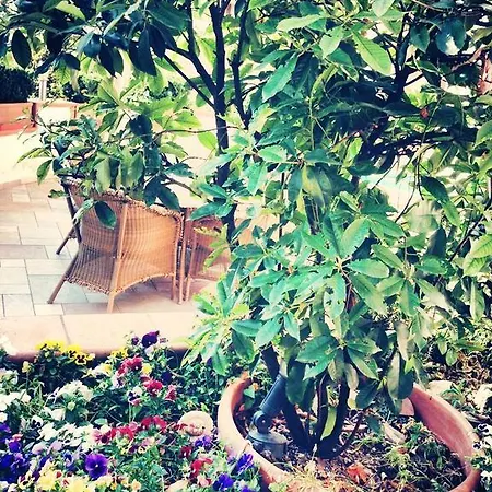 Hermitage Hotel